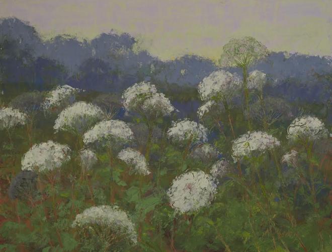 Queen Anne's Lace by Resale Gallery