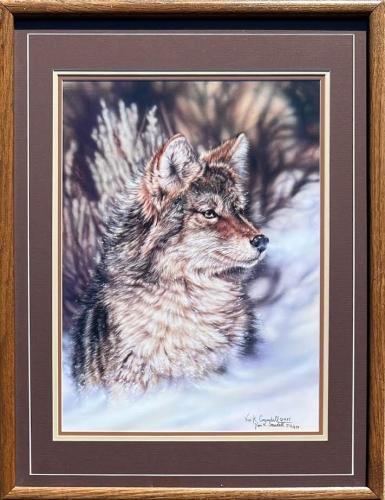 Vivi Crandall - Wolf  1985  512/670   (NDa85) by Resale Gallery