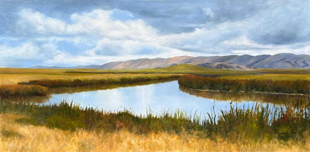 Reflections, Suisun Marshes by Deborah Bonuccelli