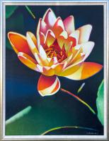 #67 Waterlilily   1990   (CLAU1) by Gary Pruner