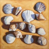 Seashells by Michael Chamberlain