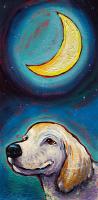Loves Long Walks And Moonlit Nights by Tod Steele