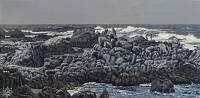 On The Rocks, Pacific Grove by Tyler Abshier