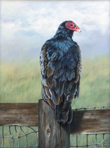 Vulture by Joanne Tepper