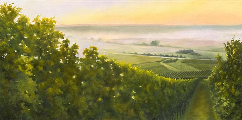 Morning, Hillside Vineyard by Deborah Bonuccelli