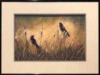 Unknown title (Red Wing Black Birds)   (AB16) by Marbo Barnard
