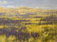Wildflower Bloom, Carrizo Plain, (Nat. Monument) by Kathy O'Leary
