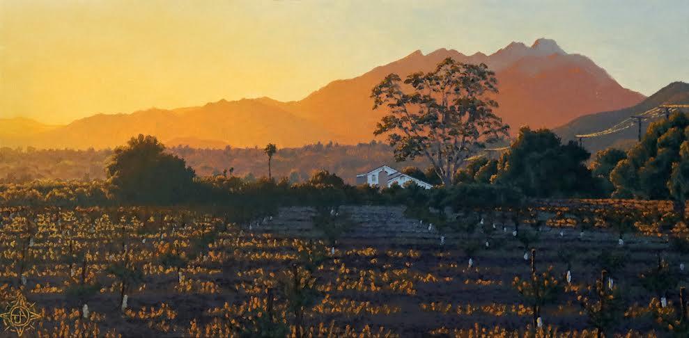 Sunkissed Ojai by Tyler Abshier