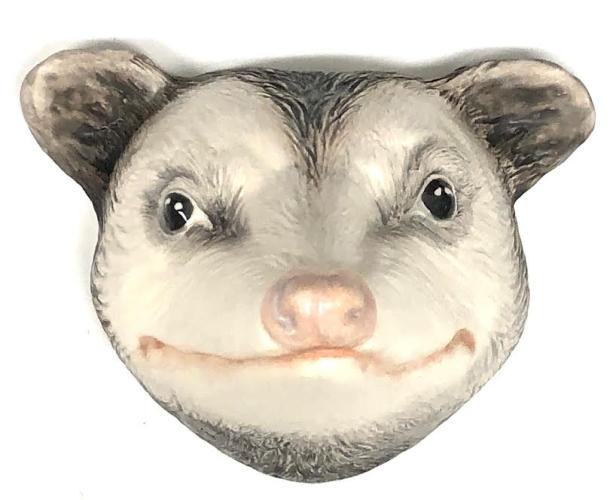 Opossum by Julie Clements