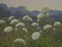 Queen Anne's Lace by Kathy O'Leary