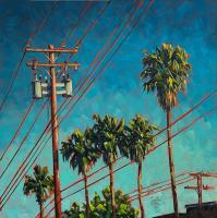 Palm Trees And Power Lines by Jonathan Baran