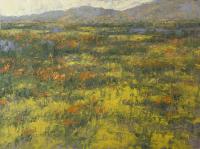 Spring - Carrizo Plain by Kathy O'Leary