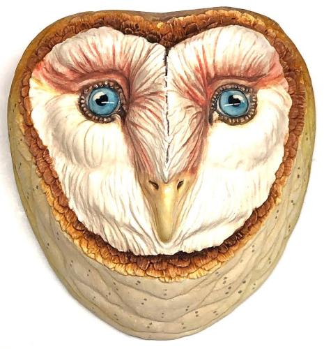Barn Owl by Julie Clements