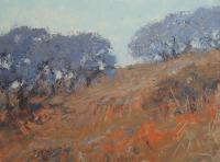 Oaks And Summer Grasses by Kathy O'Leary