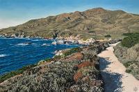 The Path To Soberanes Point  LC by Tyler Abshier