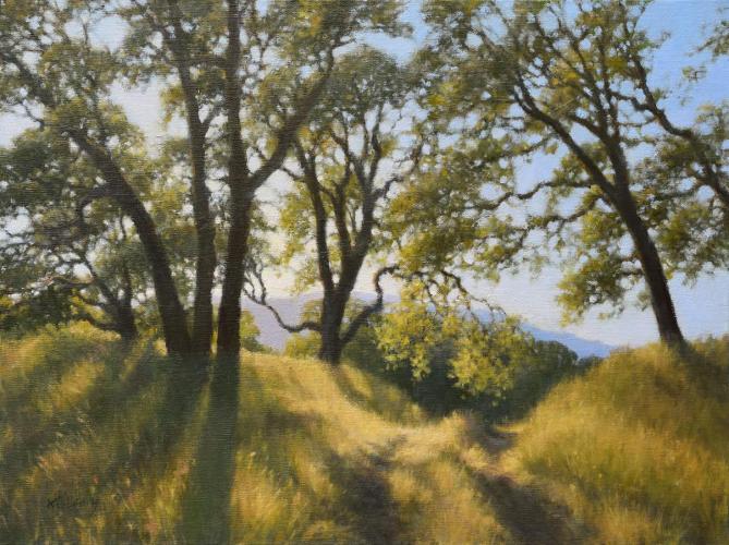 Old Ranch Track And Oaks by Resale Gallery