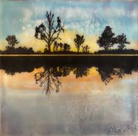 American River Reflections by Shari Lyon